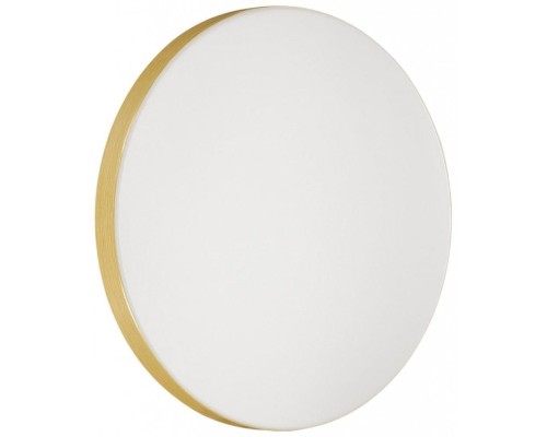 Настенно-потолочный светильник Smalli 3066/CL Sonex