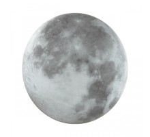 Настенно-потолочный светильник Moon 3084/DL Sonex