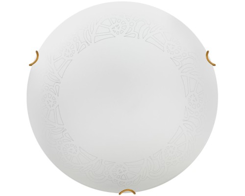 Настенно-потолочный светильник Ammonite 7602/DL Sonex