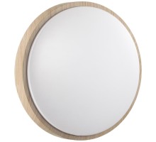 Настенно-потолочный светильник Losta 7607/AL Sonex