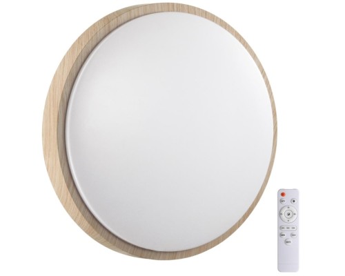 Настенно-потолочный светильник Losta 7607/DL Sonex