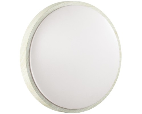 Настенно-потолочный светильник Losta 7628/AL Sonex