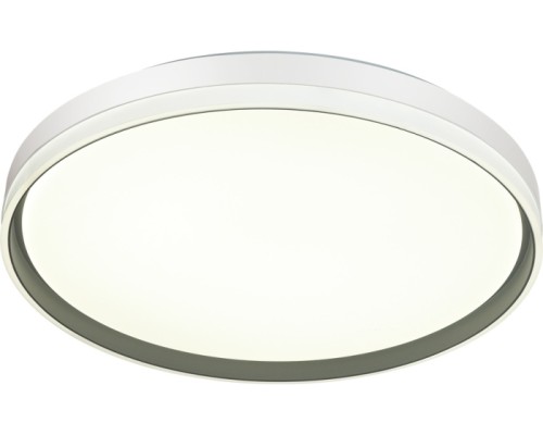 Настенно-потолочный светильник Savi 7631/DL Sonex