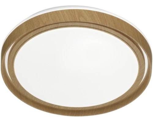 Настенно-потолочный светильник Rux Wood 7640/DL Sonex