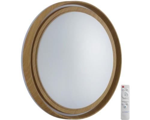 Настенно-потолочный светильник Rux Wood 7640/EL Sonex