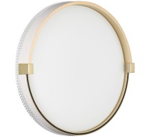 Настенно-потолочный светильник Olidi White 7646/CL Sonex