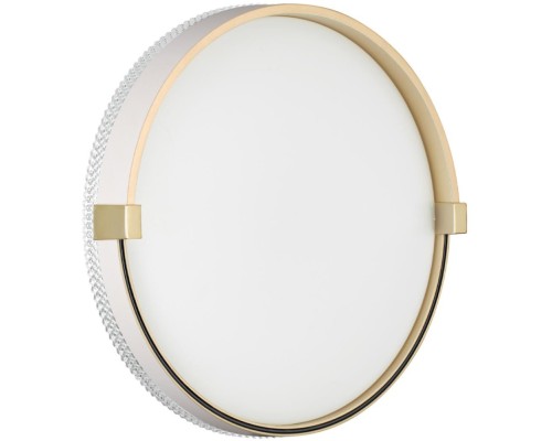 Настенно-потолочный светильник Olidi White 7646/CL Sonex