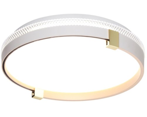 Настенно-потолочный светильник Olidi White 7646/CL Sonex