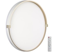 Настенно-потолочный светильник Olidi White 7646/EL Sonex