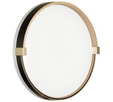 Настенно-потолочный светильник Olidi Black 7647/CL Sonex