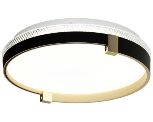 Настенно-потолочный светильник Olidi Black 7647/CL Sonex