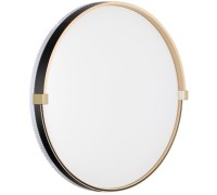 Настенно-потолочный светильник Olidi Black 7647/DL Sonex