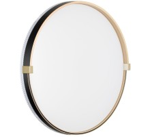 Настенно-потолочный светильник Olidi Black 7647/DL Sonex