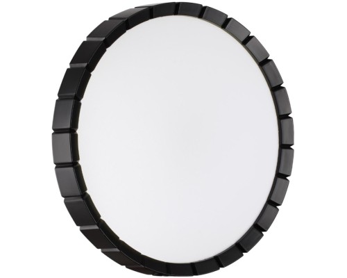 Настенно-потолочный светильник Atabi Black 7649/CL Sonex