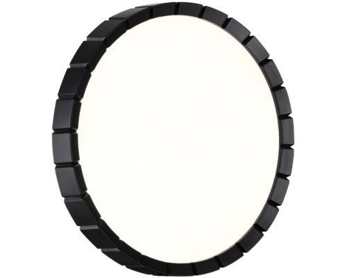 Настенно-потолочный светильник Atabi Black 7649/CL Sonex