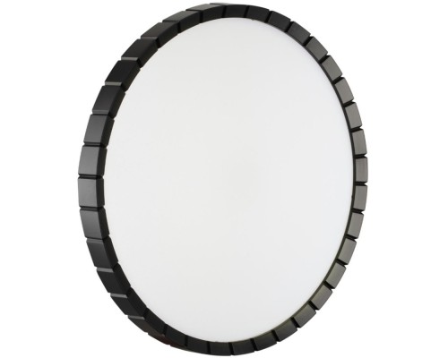 Настенно-потолочный светильник Atabi Black 7649/DL Sonex