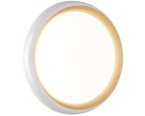 Настенно-потолочный светильник Tofiq White 7650/DL Sonex