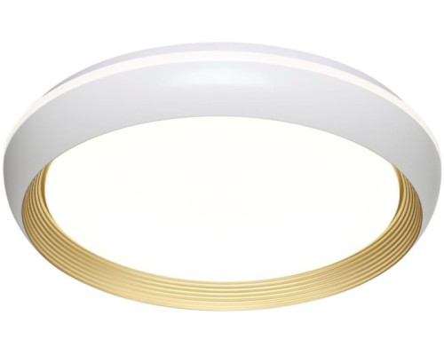 Настенно-потолочный светильник Tofiq White 7650/EL Sonex