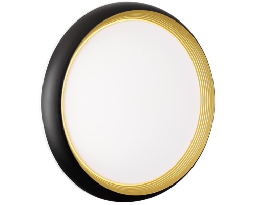 Настенно-потолочный светильник Tofiq Black 7651/DL Sonex