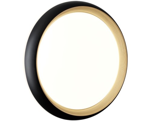 Настенно-потолочный светильник Tofiq Black 7651/DL Sonex