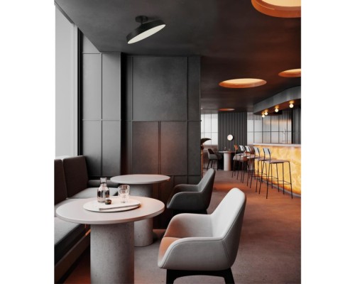 Потолочный светильник Mira Black 7656/48L Sonex