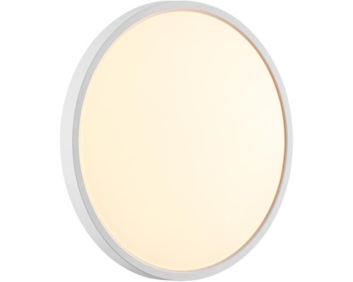 Настенно-потолочный светильник Alfa White 7659/24L Sonex