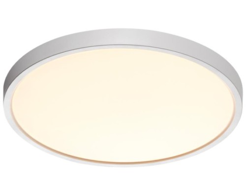 Настенно-потолочный светильник Alfa White 7659/24L Sonex