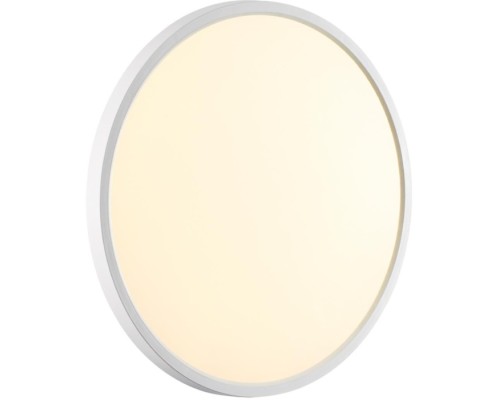 Настенно-потолочный светильник Alfa White 7659/32L Sonex