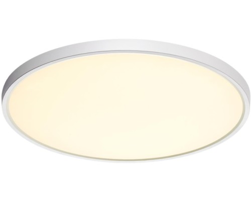 Настенно-потолочный светильник Alfa White 7659/40L Sonex