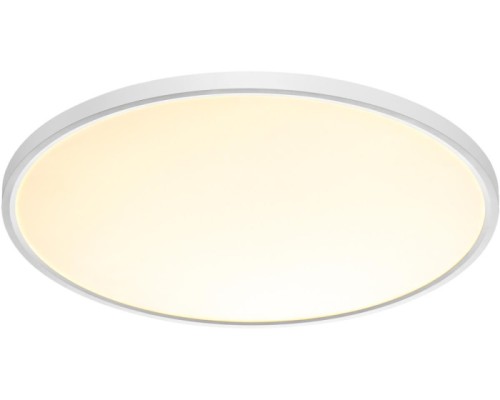 Настенно-потолочный светильник Alfa White 7659/48L Sonex