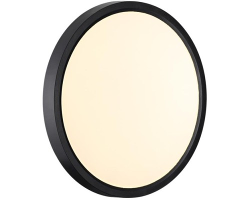 Настенно-потолочный светильник Alfa Black 7660/18L Sonex