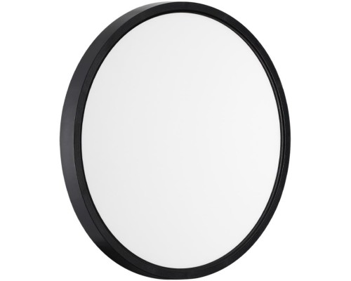 Настенно-потолочный светильник Alfa Black 7660/24L Sonex