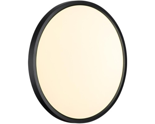 Настенно-потолочный светильник Alfa Black 7660/32L Sonex