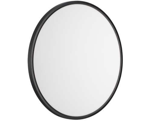 Настенно-потолочный светильник Alfa Black 7660/48L Sonex