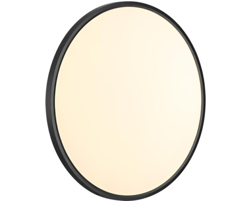 Настенно-потолочный светильник Alfa Black 7660/48L Sonex