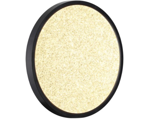 Настенно-потолочный светильник Omega Black 7662/24L Sonex