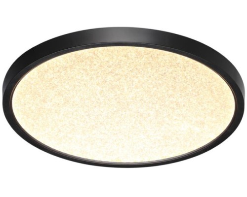 Настенно-потолочный светильник Omega Black 7662/24L Sonex