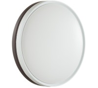 Настенно-потолочный светильник Nohava Brown 7668/DL Sonex