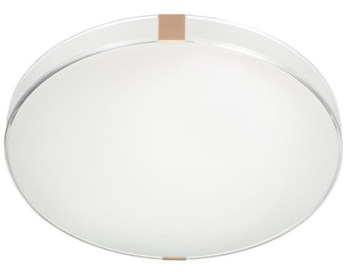 Настенно-потолочный светильник Otiga White 7676/EL Sonex