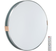 Настенно-потолочный светильник Otiga Blue 7677/EL Sonex