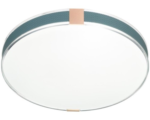 Настенно-потолочный светильник Otiga Blue 7677/EL Sonex