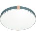 Настенно-потолочный светильник Otiga Blue 7677/EL Sonex