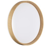 Настенно-потолочный светильник Gari Wood 7684/DL Sonex