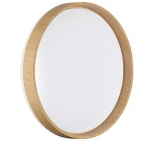 Настенно-потолочный светильник Gari Wood 7684/DL Sonex