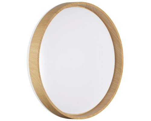 Настенно-потолочный светильник Gari Wood 7684/DL Sonex