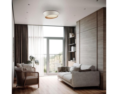 Потолочный светильник Apex 7693/60L Sonex