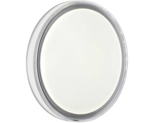 Настенно-потолочный светильник Laven 7699/DL Sonex