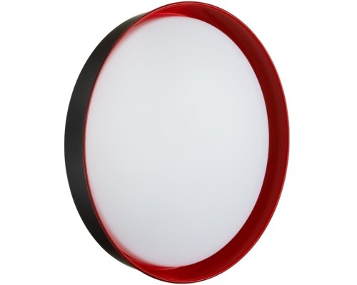 Настенно-потолочный светильник Tuna Red 7710/DL Sonex
