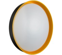 Настенно-потолочный светильник Tuna Yellow 7711/DL Sonex
