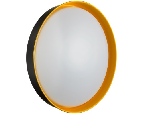 Настенно-потолочный светильник Tuna Yellow 7711/DL Sonex